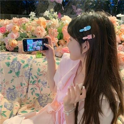 海豚奇迹